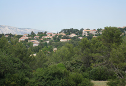 Belcod&egrave;ne